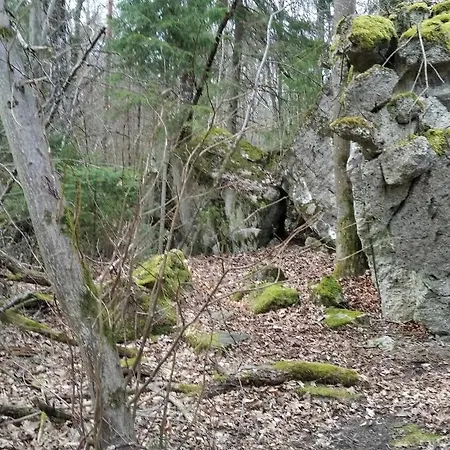 Semesterbostad Holenderski Sztynort