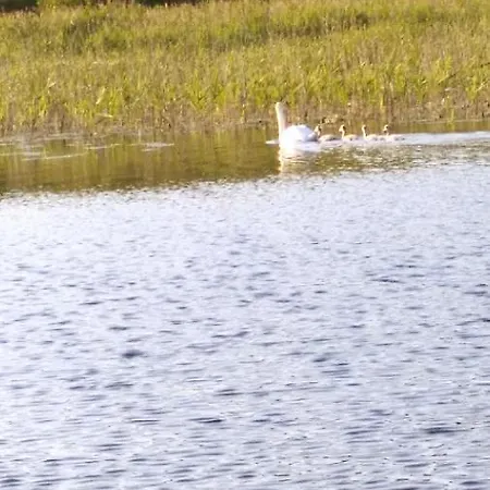 Semesterbostad Holenderski
