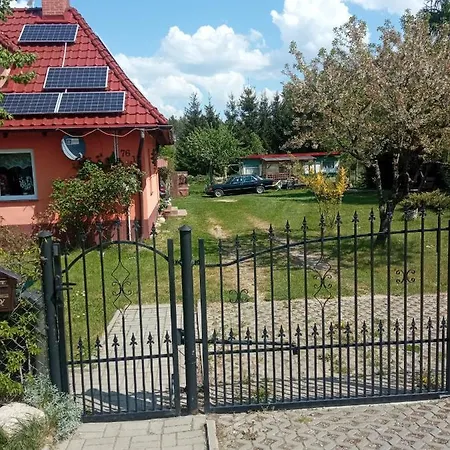 Holenderski * Sztynort